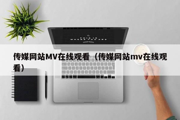 传媒网站MV在线观看（传媒网站mv在线观看）